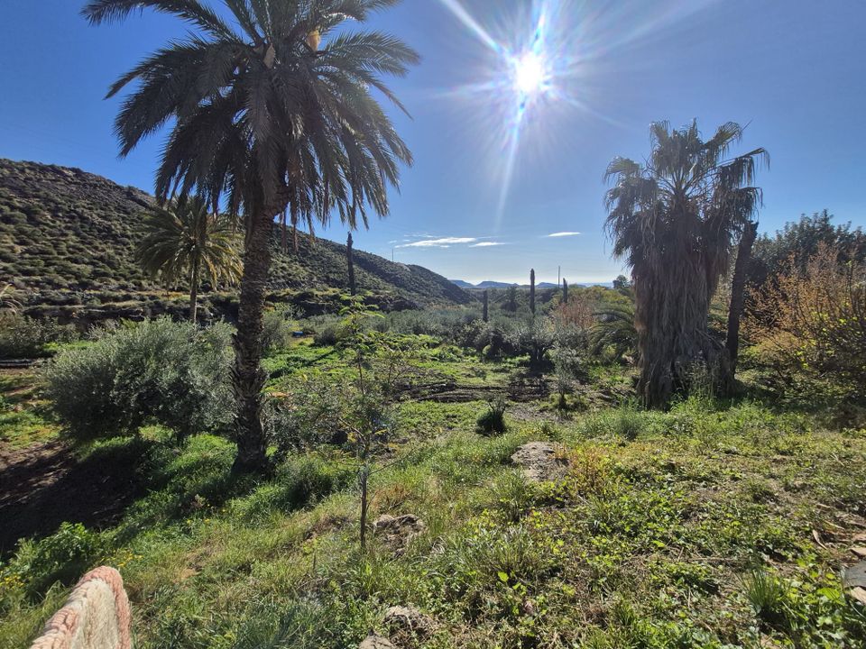 Farm hus i Pilar De Jaravia, Almeria - foto 1